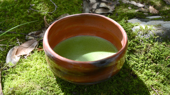 MATCHA: what we love so much