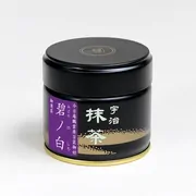 Matcha Midori no Shiro