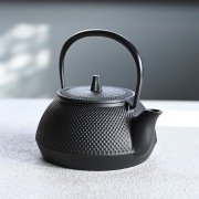 Tetsubin Kenyō Kyusu