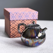 Yutaka Tsuya Ushirode Kyusu Black Agate